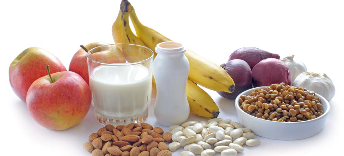 Prebiotics reduce body fat in overweight children img