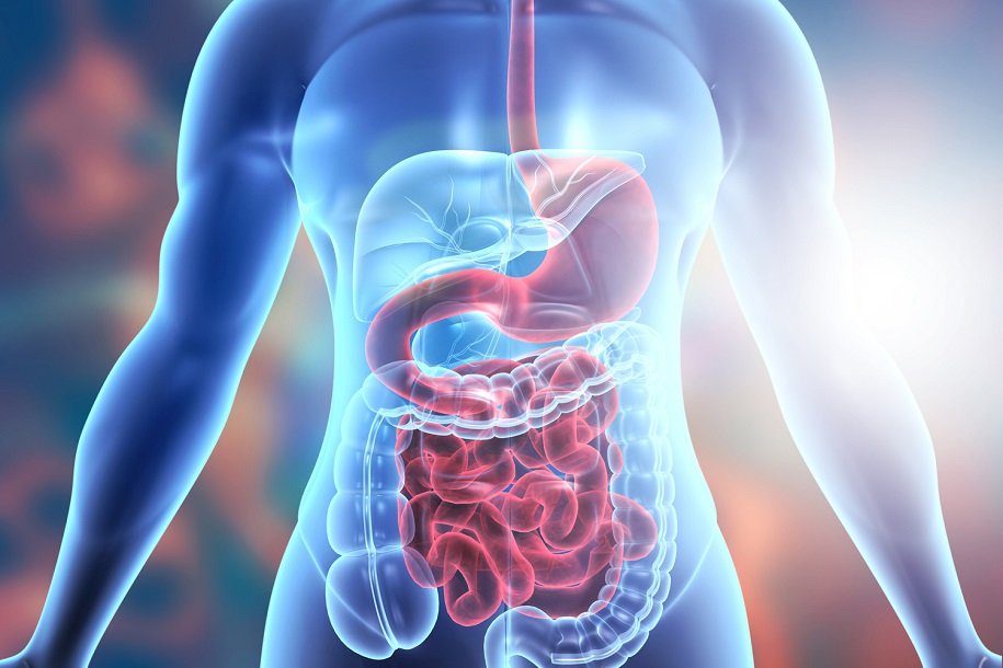 Gastrointestinal (GI) Surgery