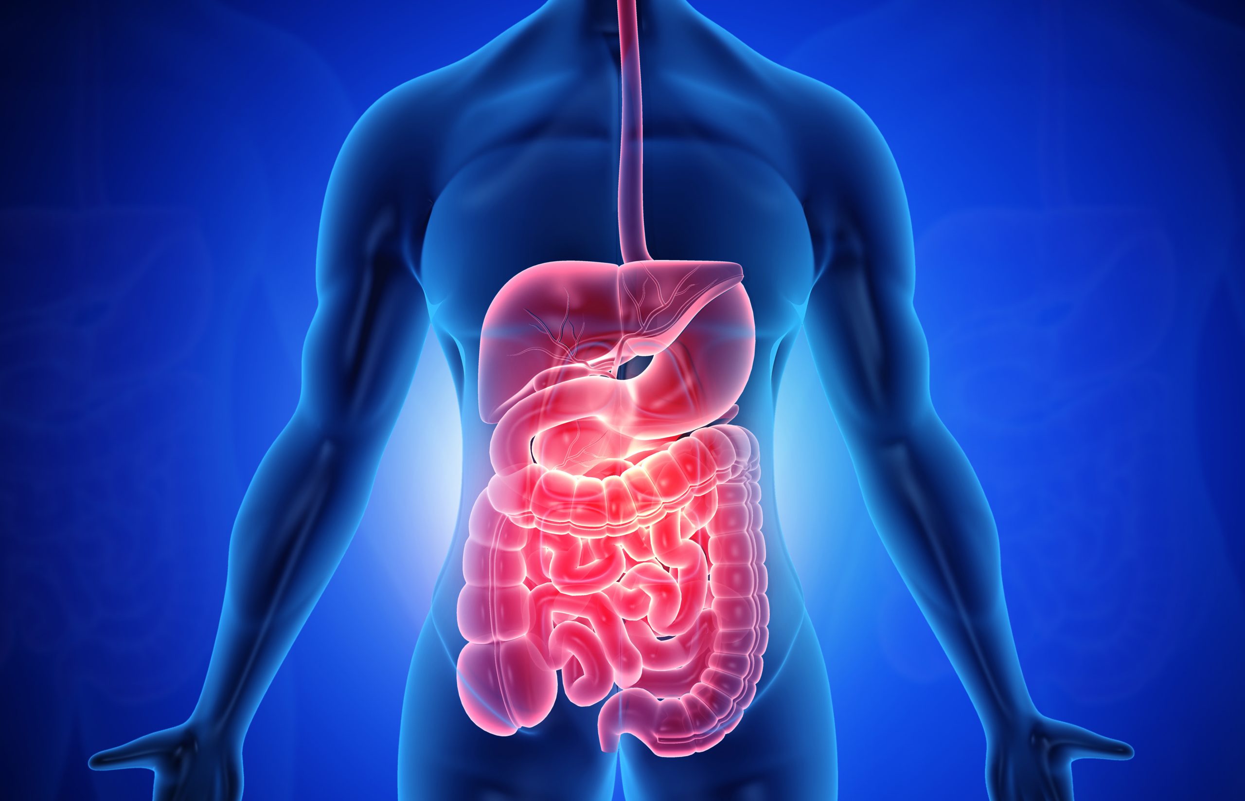 Key Considerations Before Opting for Gastrointestinal Surgery